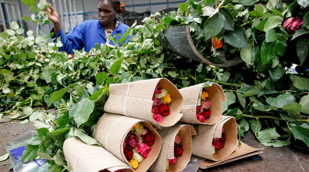 Kenya says Russia-Ukraine conflict has dimmed flowers export