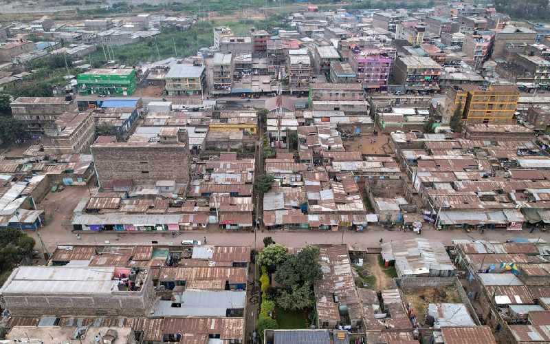 From garbage to garden, Nairobi resident helps dumping ground bloom