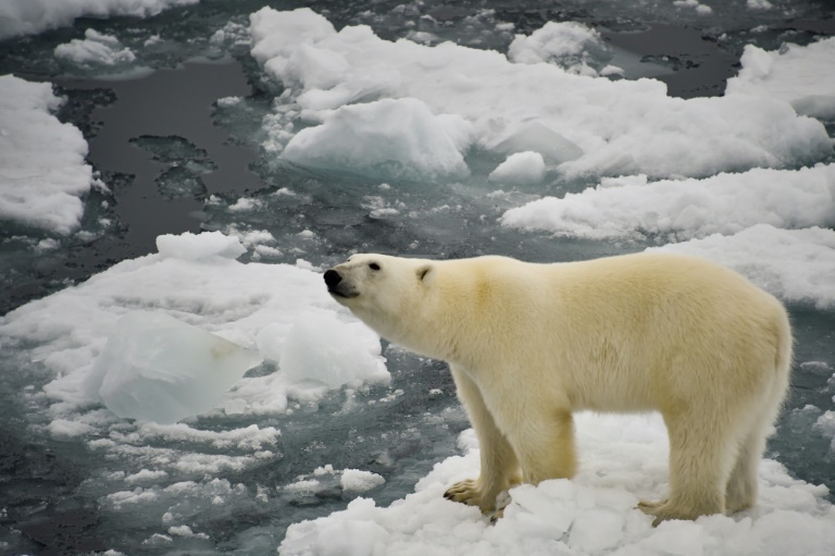 Key UN biodiversity summit to open in China » Capital News
