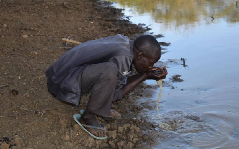 Pokot herders migrate to Uganda amid drought