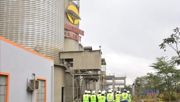 APPEAL COURT ALLOWS SAVANNAH CEMENT TO APPOINT OWN BOARD