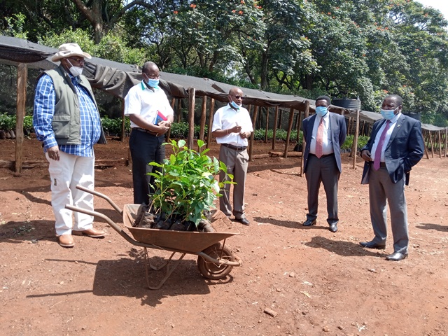 Government to modernize coffee factories, boost quality for higher returns, says CS