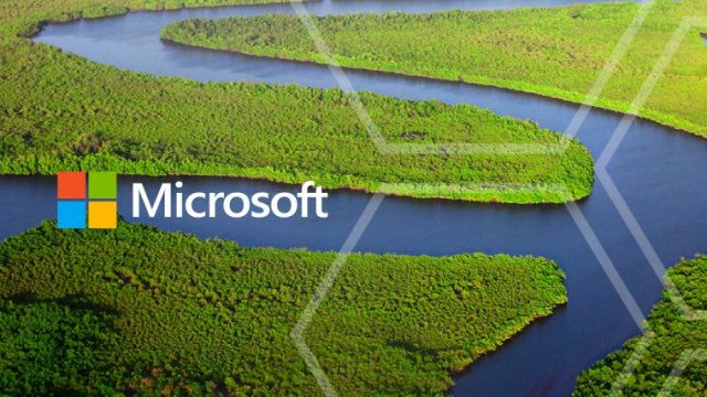Kenyan Firm to Receive Microsoft's AI for Earth Innovation Grant