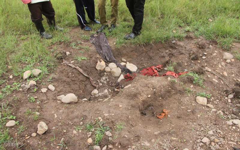 Migori residents concerned over howling hyenas, stench of dead bodies