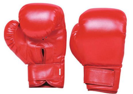 32 boxers promoted to the National Boxing League : The standard Sports