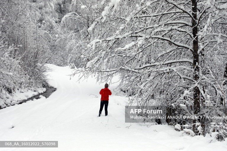 Istanbul airport shuts as snow blankets southeast Europe
