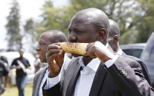 Inside DP William Ruto’s Plan to Pay Chinese Debt with Avocados