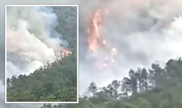Video of China plane falling from sky with 132 people