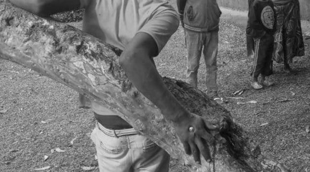 Vihiga teen nailed on a tree on suspicion of stealing a radio » Capital News