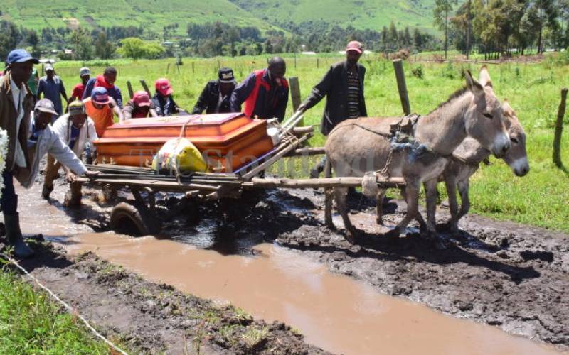 Kenyans are suffering because of corruption, not economic model