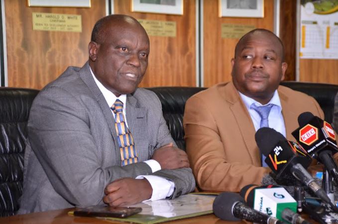 KTDA's Greenland Fedha Slashes Loan Rates As Tea Prices Soar