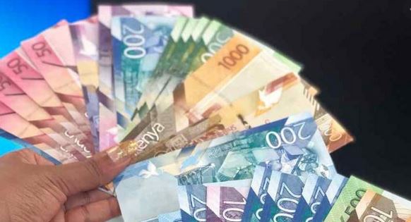 Public, private lending mash-up offers lifeline to virus-hit African firms
