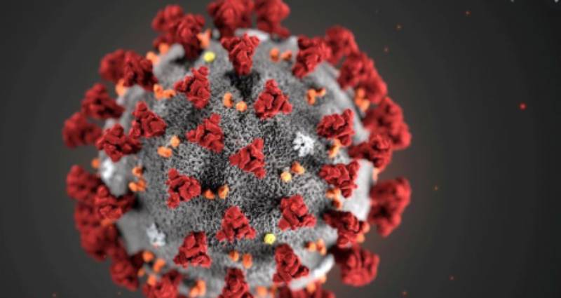 We’re family; let’s stop our fights and focus on surviving coronavirus: The Standard