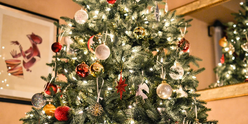 Joy to the World, the Pain of Christmas