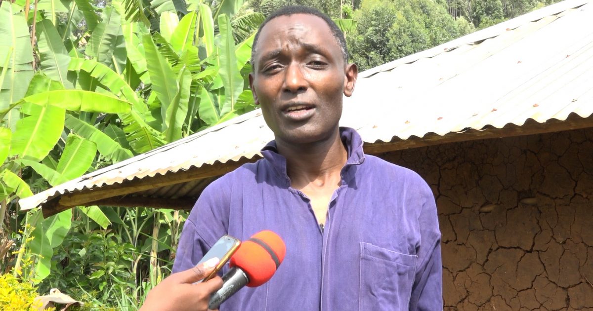 Kisii residents urged to report jigger infestation cases – Kenya News Agency