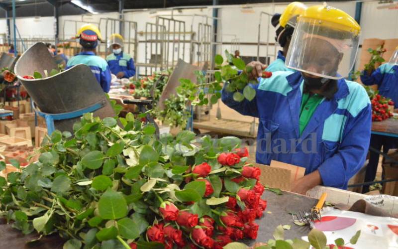 Flower exporters eye rosier times with new markets