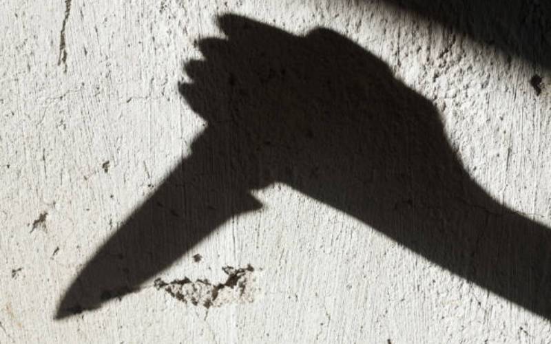 Man to face murder charges for stabbing friend to death