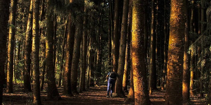 These 7 Outdoor Activities Are Still Allowed Under Covid-19 [PHOTOS]