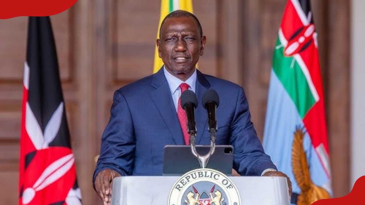President William Ruto Bars Politicians From Directorships of Profit-Making State Enterprises