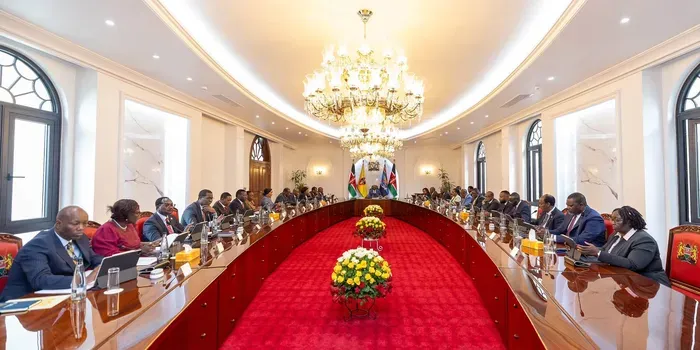 President William Ruto's Cabinet Approves KSh1.1 Billion Electric Cooking Programme