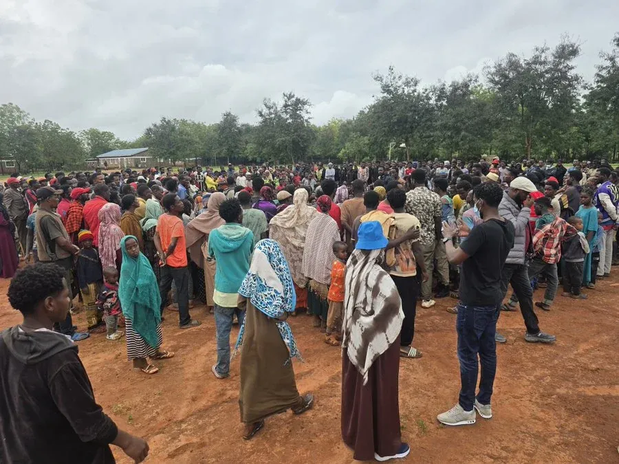 UN Agencies Seek KSh1.16 Billion for 50,000 Ethiopian Refugees in Moyale