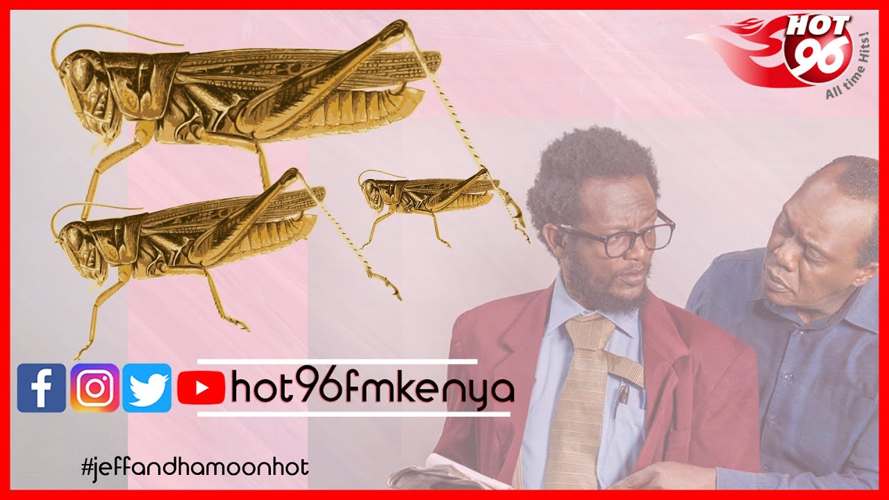 Locusts in their Millions | Prof. Hamadi Iddi Boga