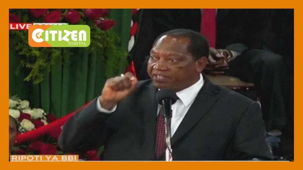 Tanzania's foreign affairs minister makes powerful speech during BBI Report launch