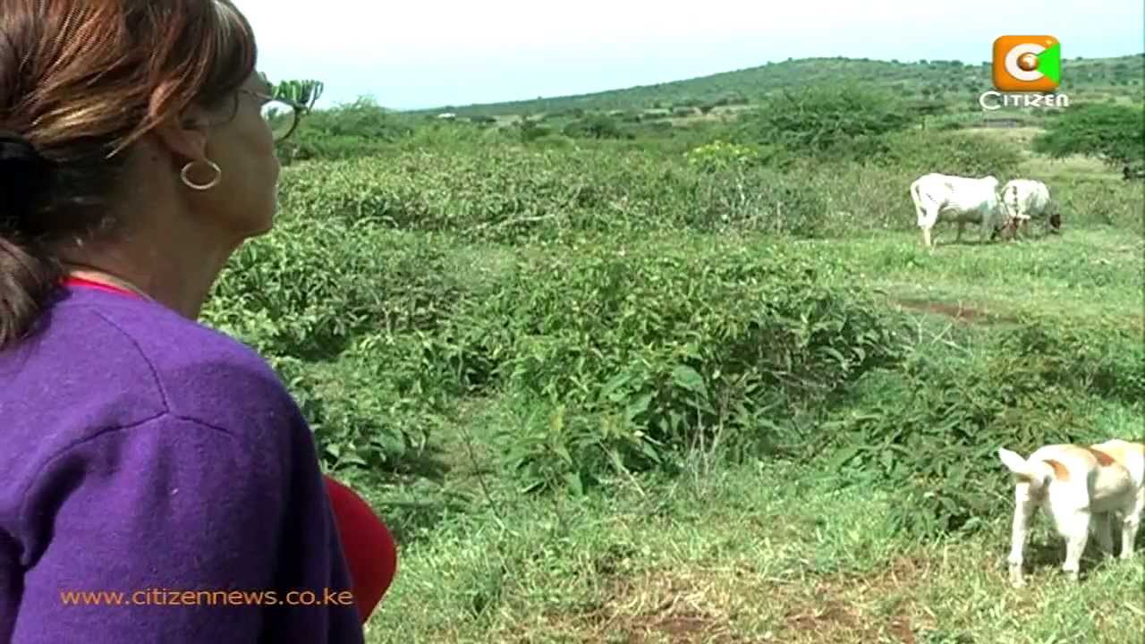 My Samburu Moran Part 1