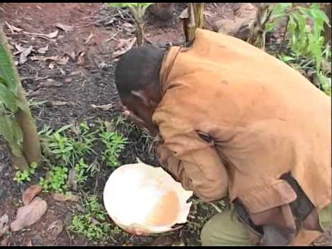 Mzee Aliuza Shamba Na Kunywa Pombe Na Pesa