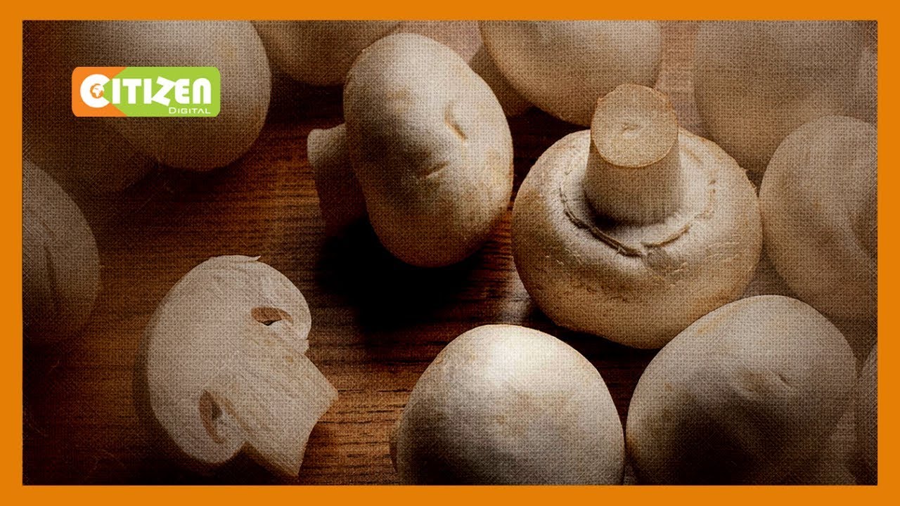 Wakulima wa uyoga Trans Nzoia wakosa soko la mazao yao