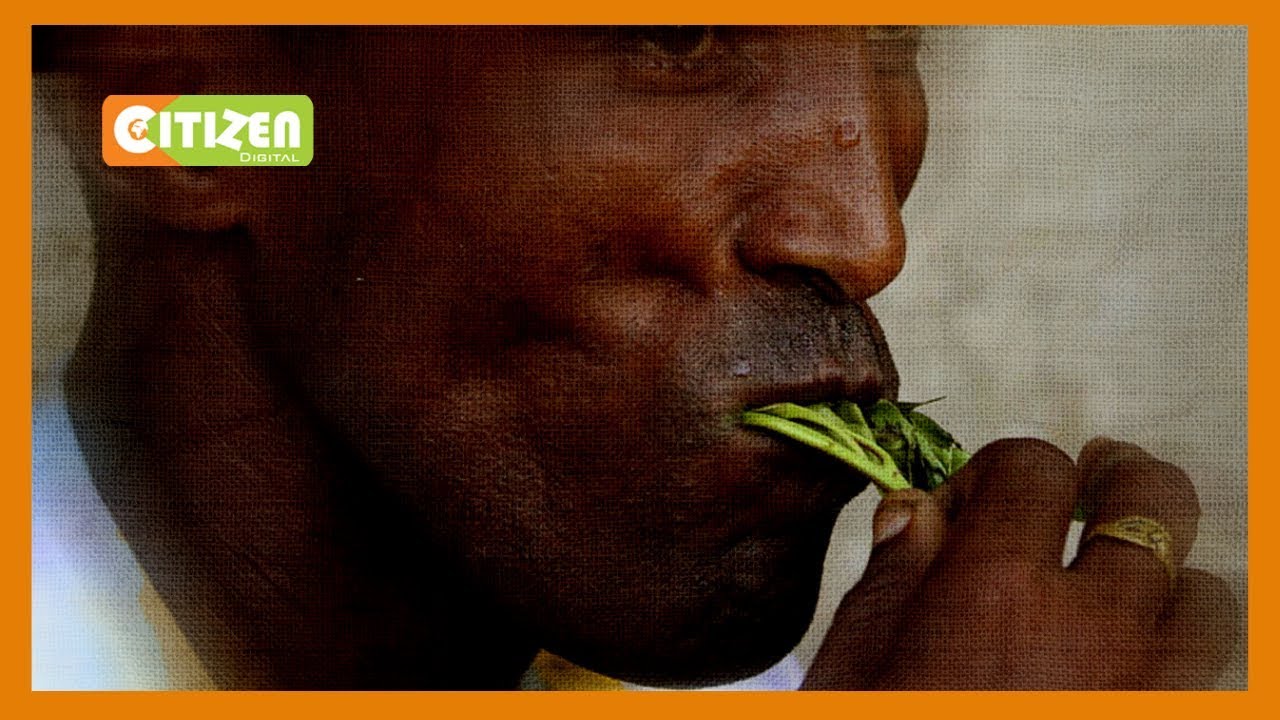 Maafisa wa kaunti watwaa miraa ya wachuuzi Taita Taveta