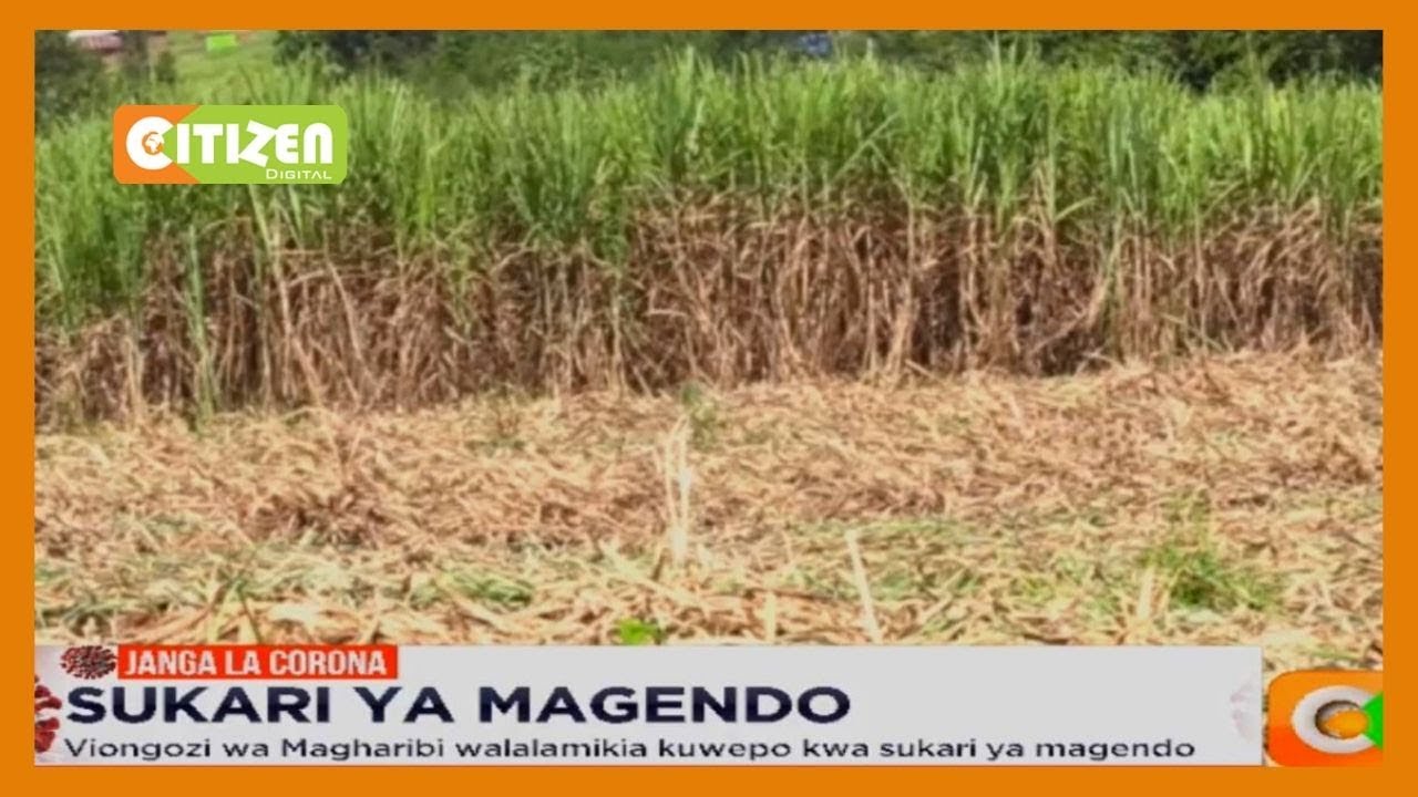 Viongozi wa Magharibi walalamikia kuwepo kwa sukari ya magendo
