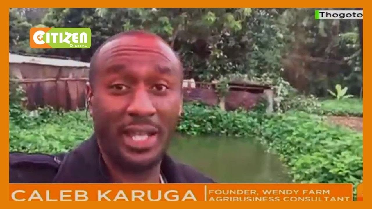 |DAY BREAK| How Covid-19 is affecting agri-business in Kenya