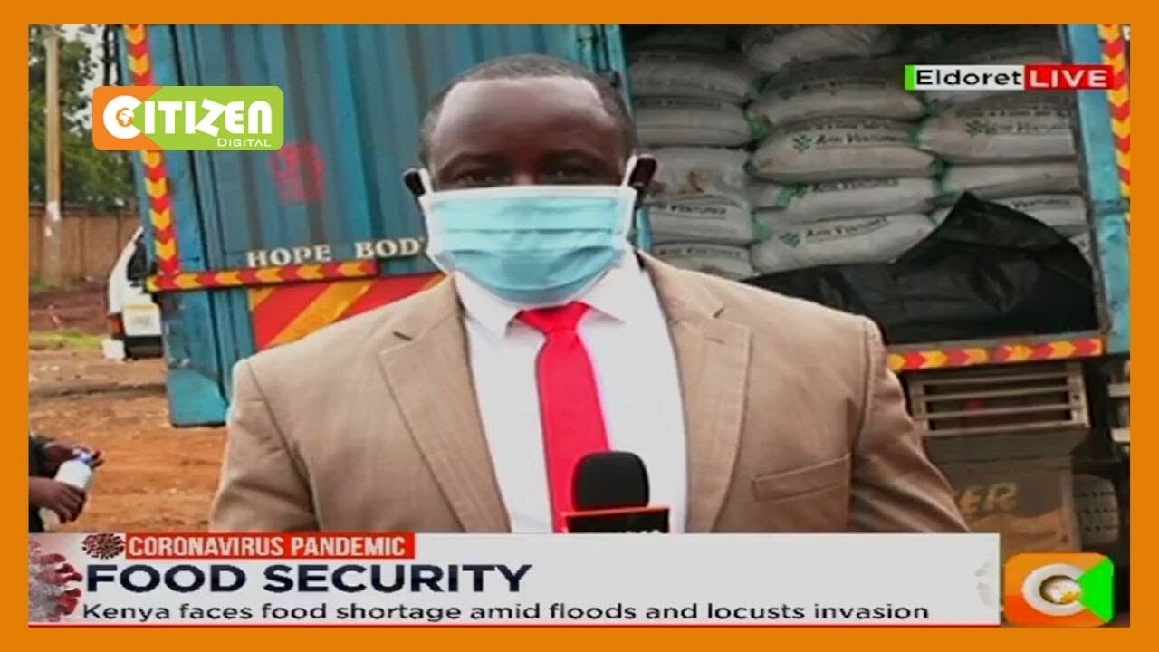 Kenya faces food shortage amid floods and locusts’ invasion
