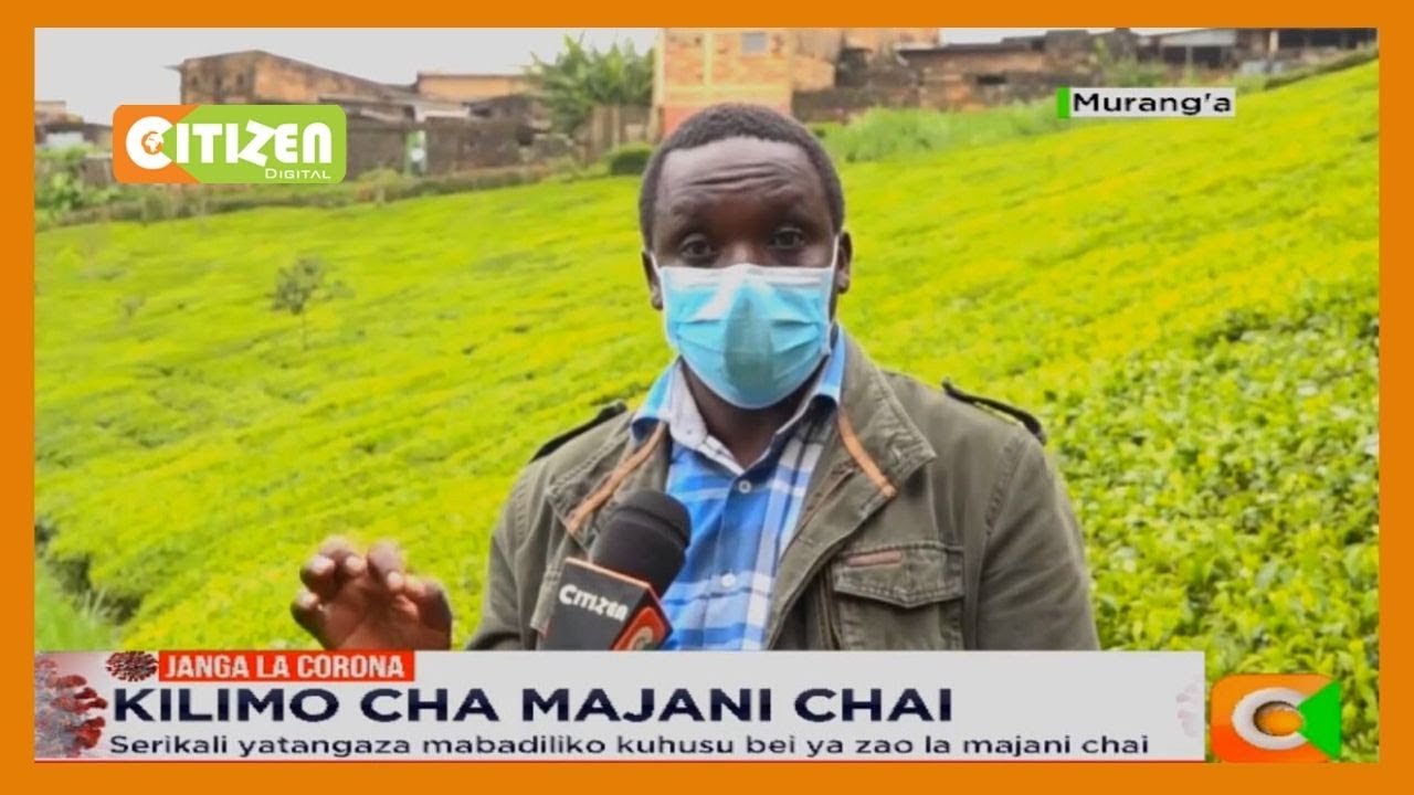 Serikali yatangaza mabadiliko kuhusu bei ya zao la majani chai