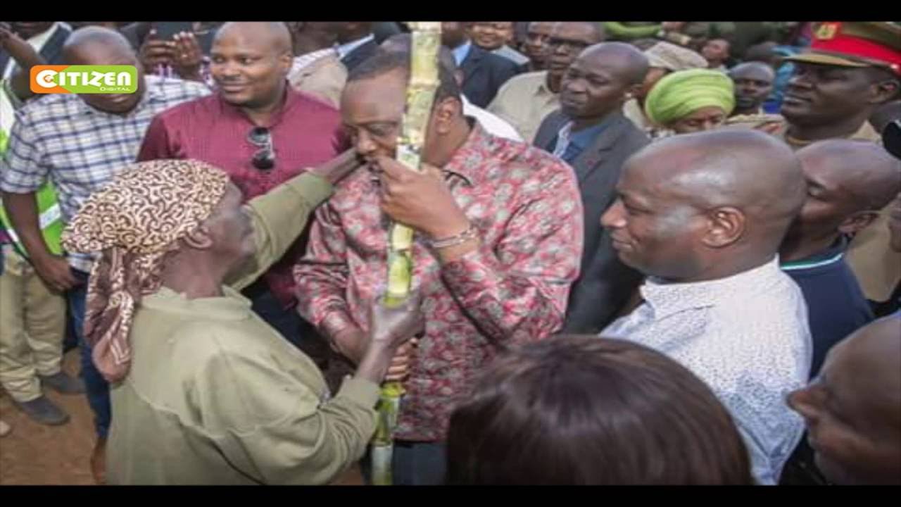 Kiambu granny recalls moment she gave sugarcane to President Kenyatta