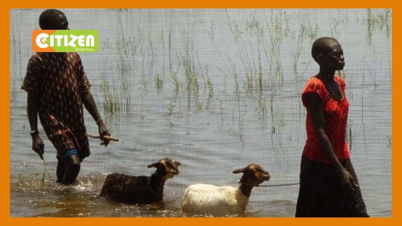Four more people killed in floods in Nakuru & Trans Nzoia