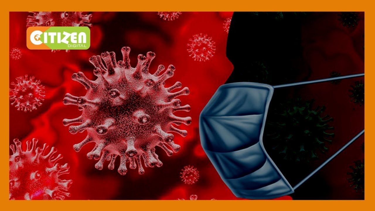 EXPLAINER | All you need to know about Corona Virus