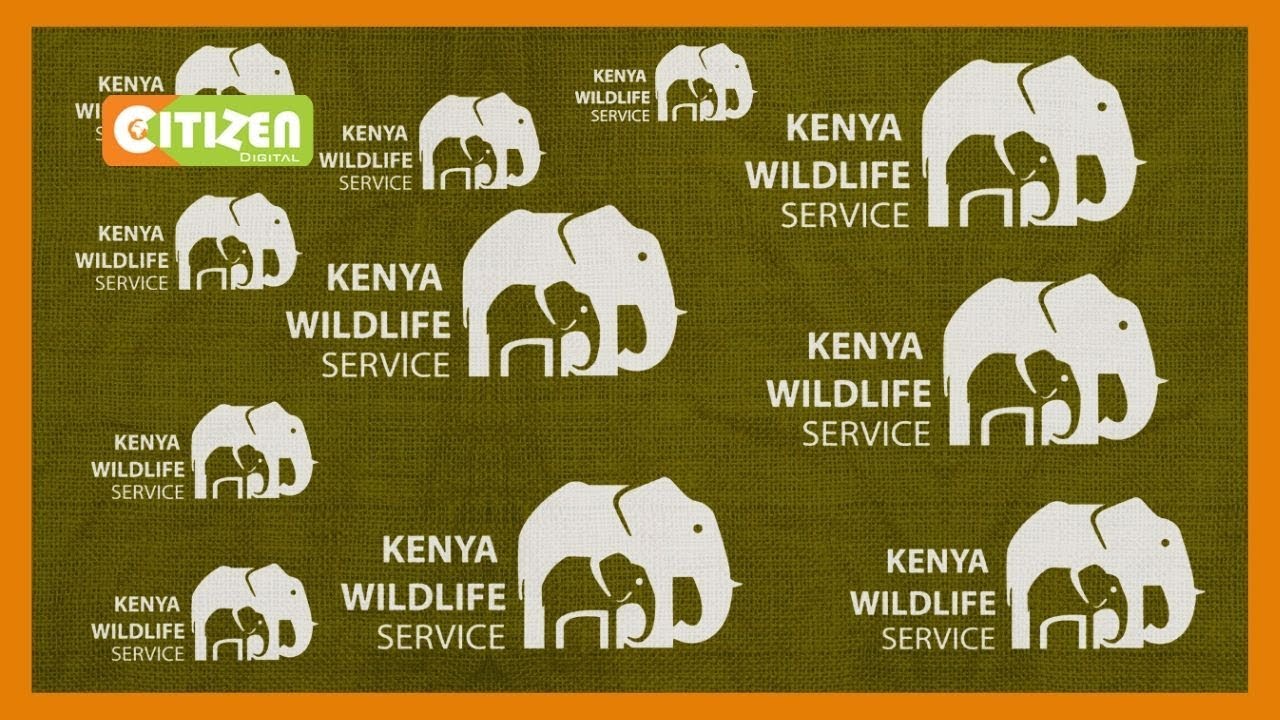 Mradi wa utunzi wazinduliwa kwenue hafla ya mtandao