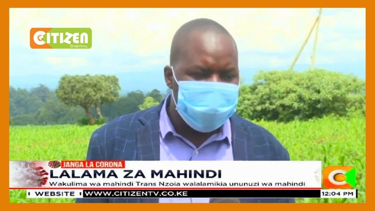 Wakulima wa mahindi Trans Nzoia walalamikia ununuzi wa mahindi