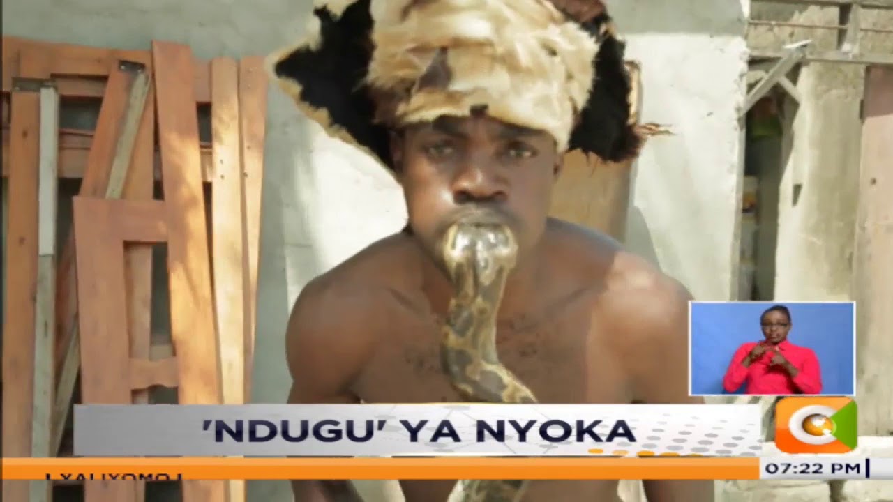 Jamaa aishi na nyoka Dar es Salaam