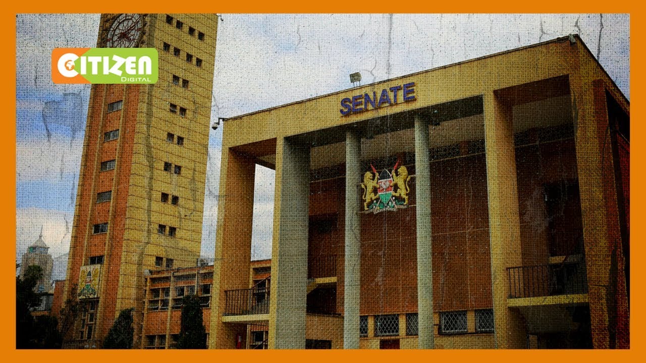 Senators support constitution amendment through BBI