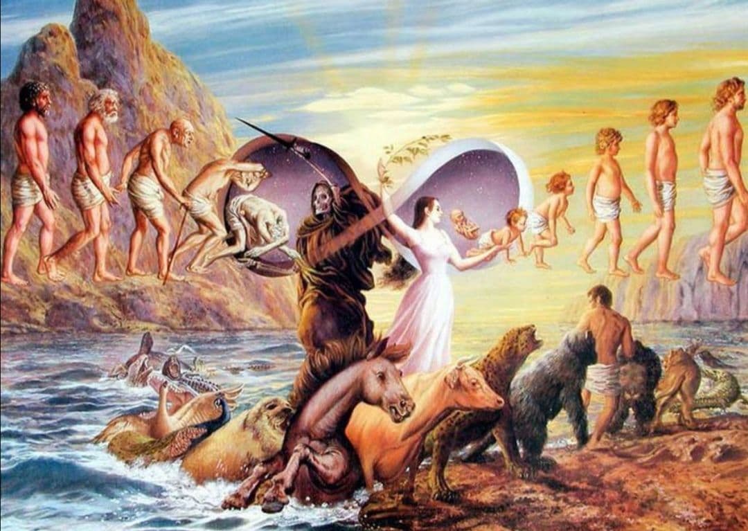 Reincarnation? Not me