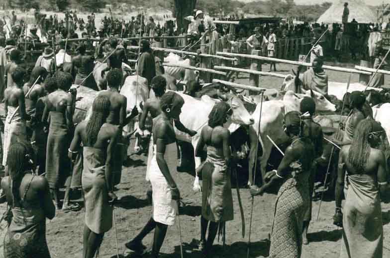 Maasai's 100-year battle for a piece of Nanyuki