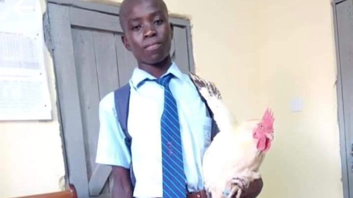 Form Two Student Bailed Out as He Takes Cock to Pay School Fees