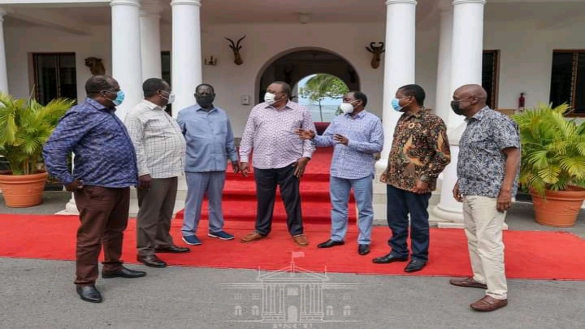 Raila Snubs Kalonzo in Front of Uhuru at State House