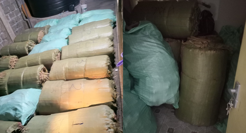 Suspect Arrested as Police Recover 24 Bags of Bhang