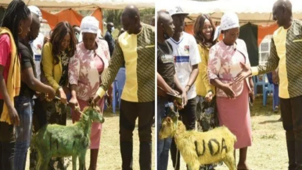 Did DP Ruto Lie to The Whole Nation in Black And White?