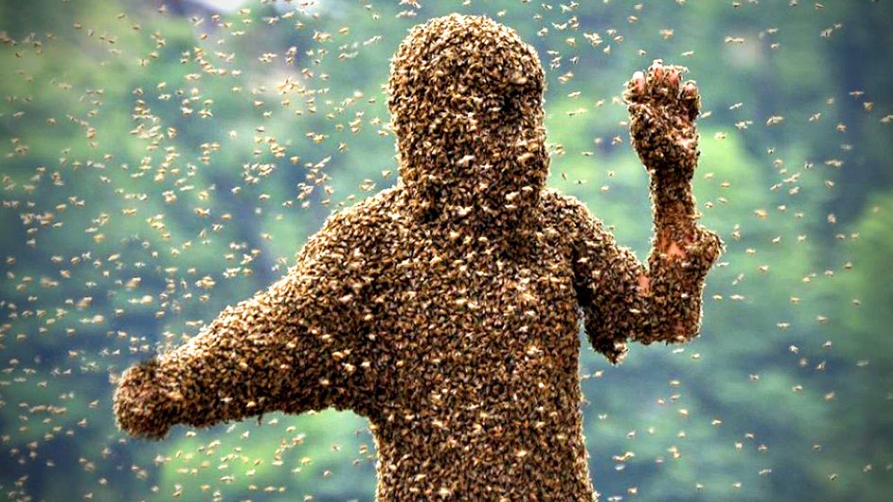 Police Officer Dies in Mombasa After Attack by Bees