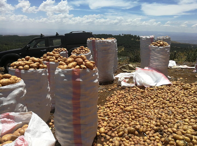 KFC swaps chips for Ugali after running out of imported potatoes, Kenyans react